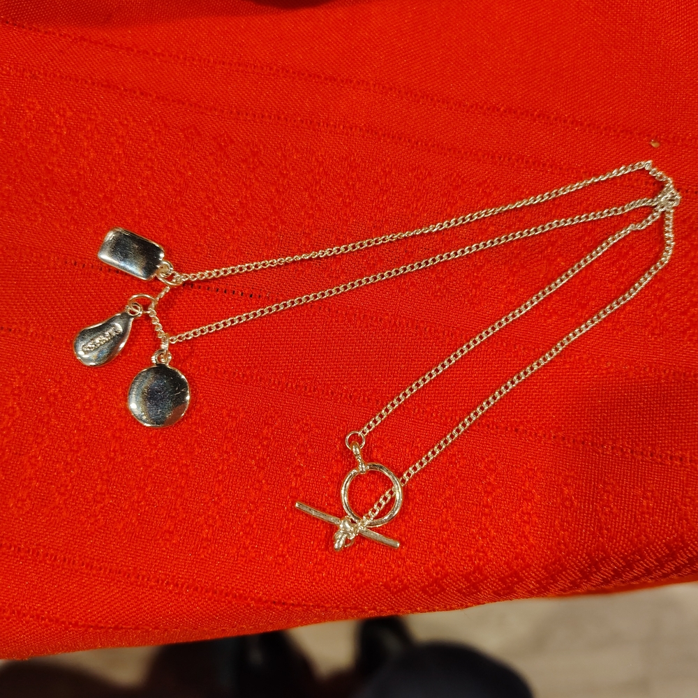 Express Gold Charm Necklace